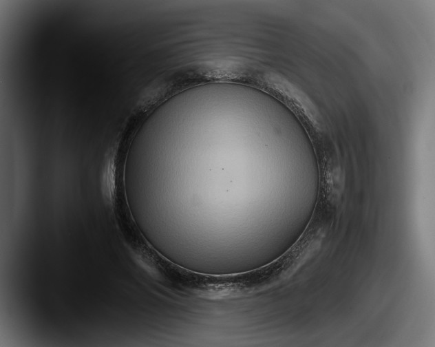 X0000087520686200705181013