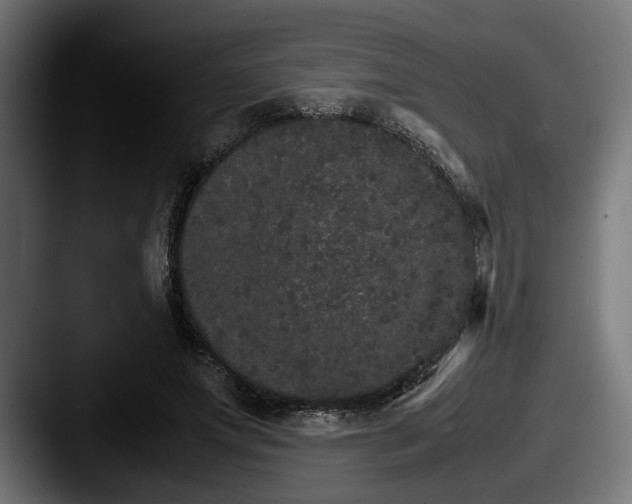 X0000087520687200705181013