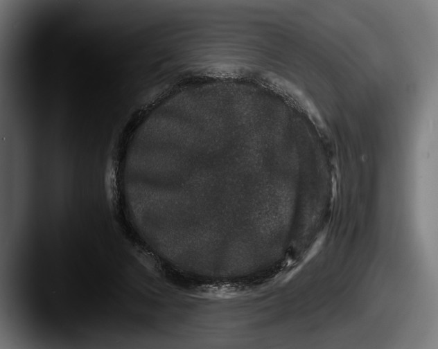 X0000087520688200705181013