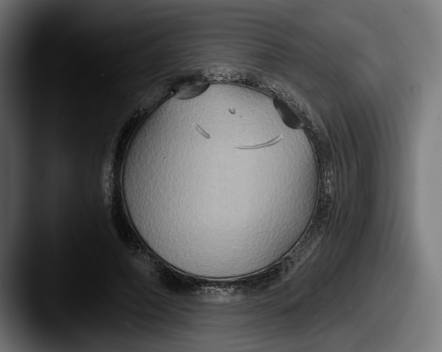 X0000087520690200705181013