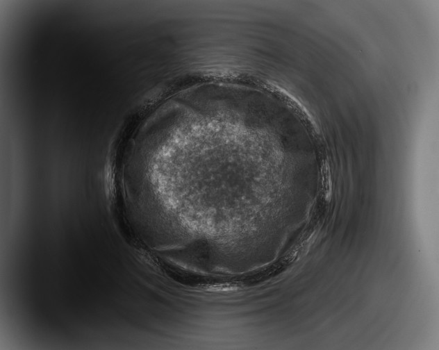 X0000087520692200705181013