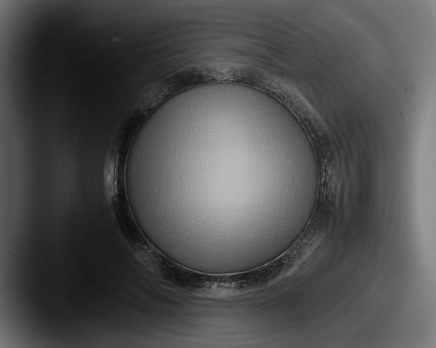 X0000087520694200705181013