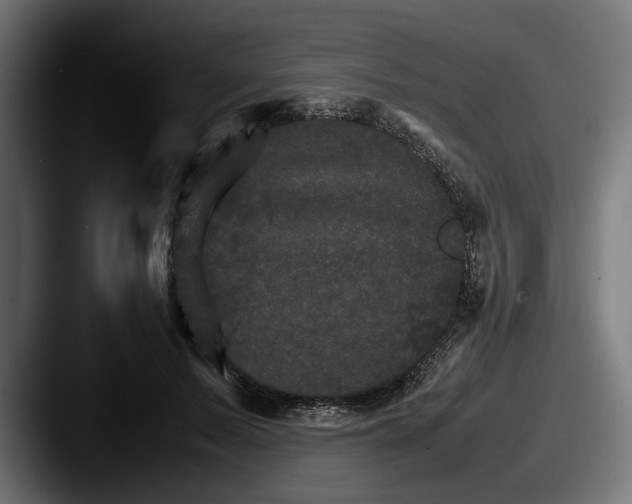 X0000087520695200705181013