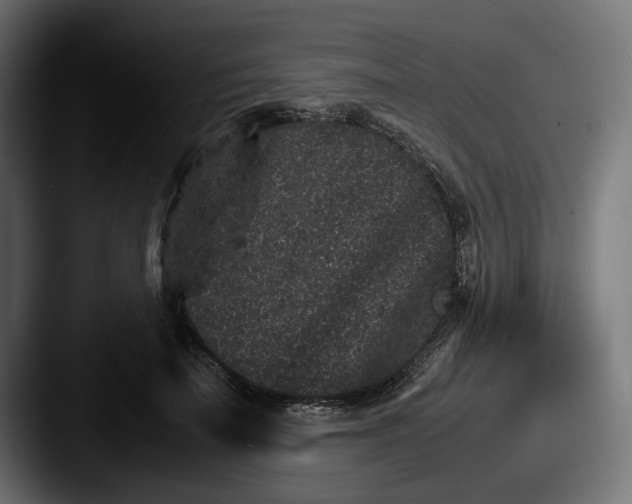 X0000087520699200705181013