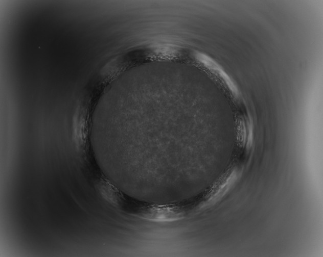 X0000087520701200705181012