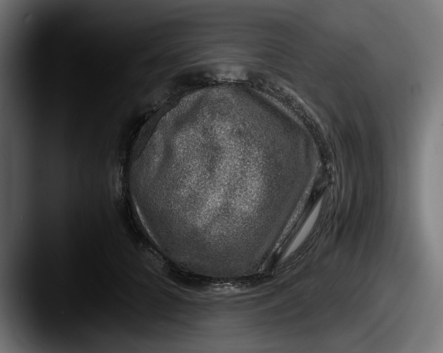 X0000087520704200705181012