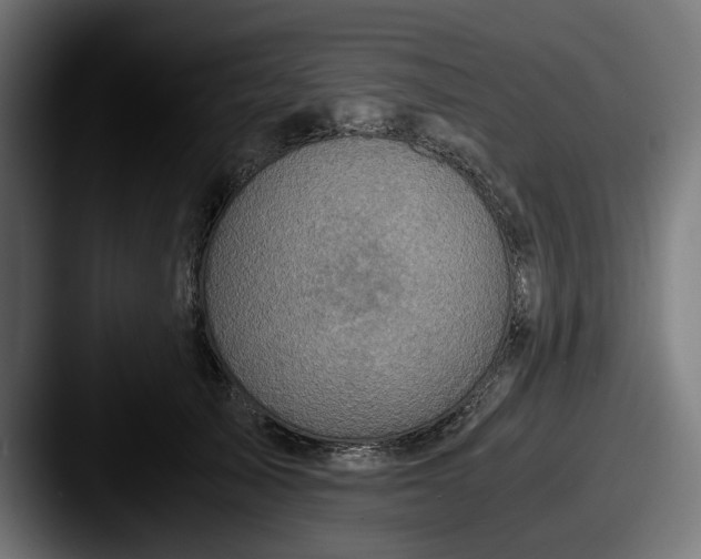 X0000087520705200705181012