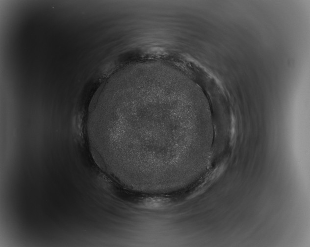 X0000087520708200705181012