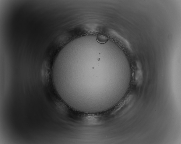 X0000087520710200705181012