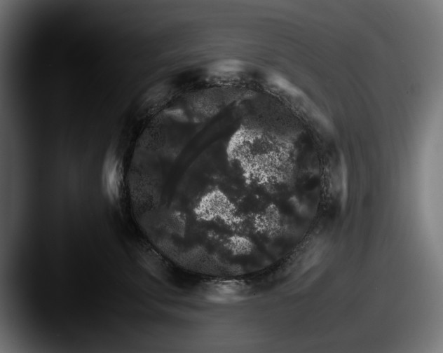 X0000087520711200705181012