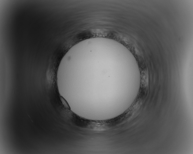 X0000087520713200705181012