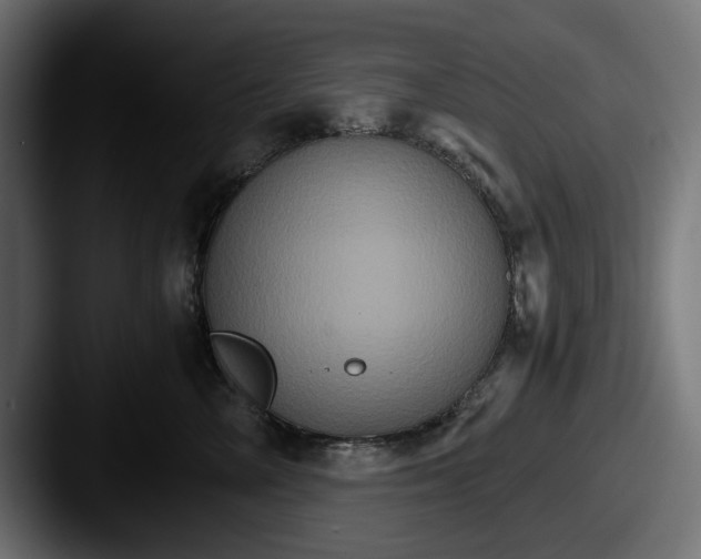 X0000087520714200705181012