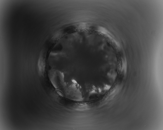 X0000087520715200705181012