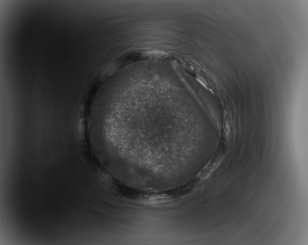 X0000087520716200705181012