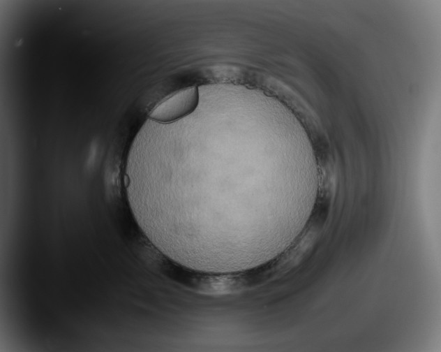 X0000087520717200705181012