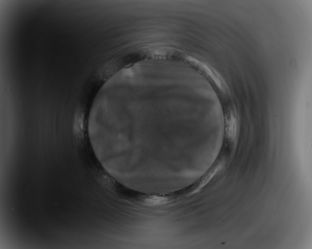 X0000087520718200705181012