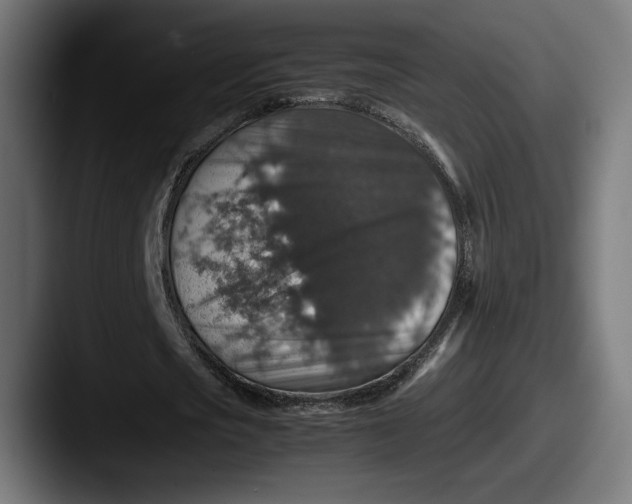 X0000087520721200705181012