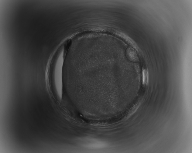 X0000087520723200705181012