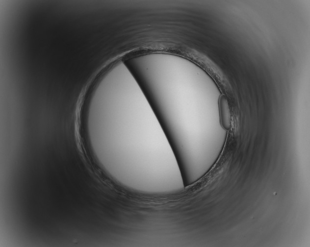 X0000087520724200705181012