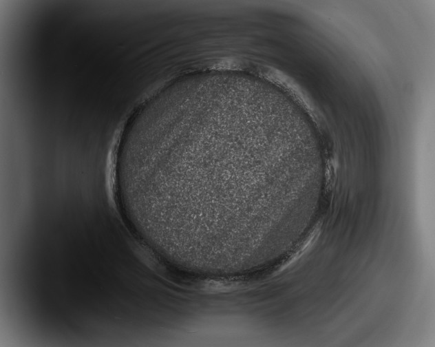 X0000087520725200705181012