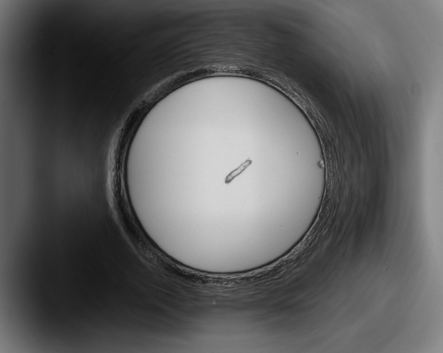 X0000087520728200705181012