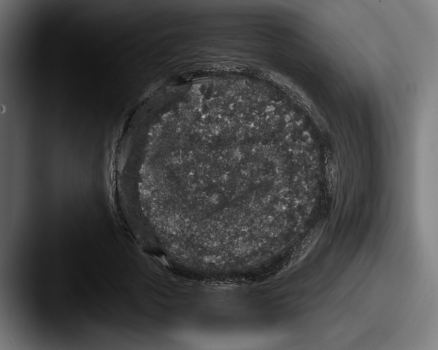 X0000087520729200705181012