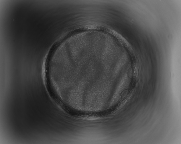 X0000087520730200705181012