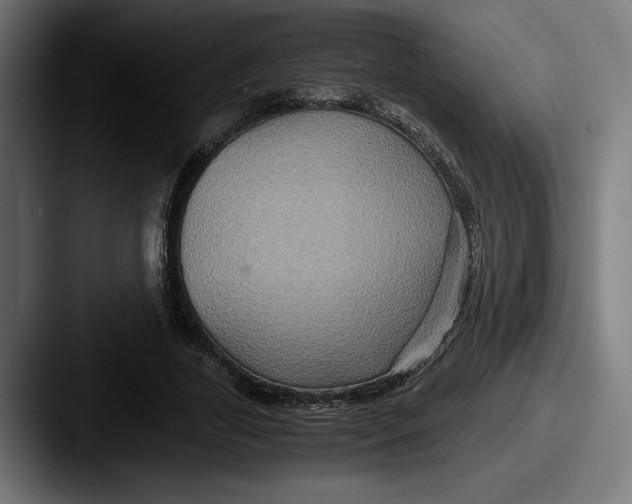 X0000087520731200705181012