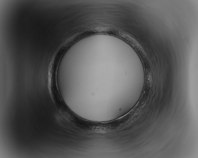 X0000087520732200705181012