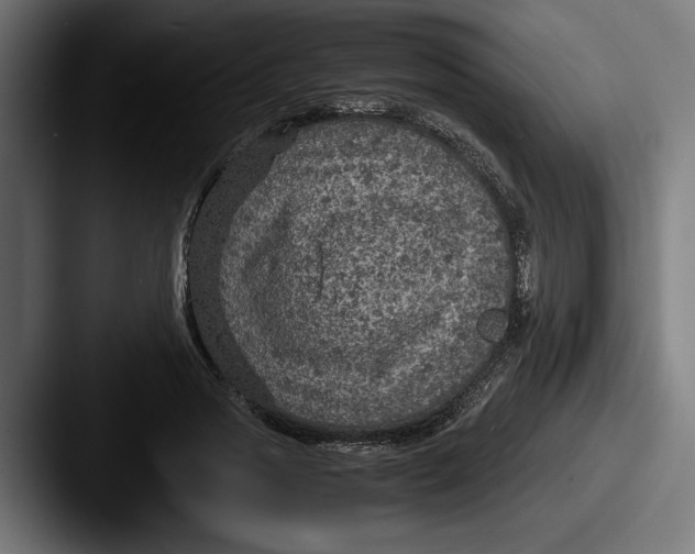 X0000087520733200705181012