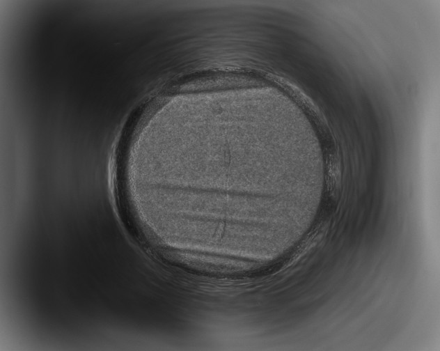 X0000087520734200705181012