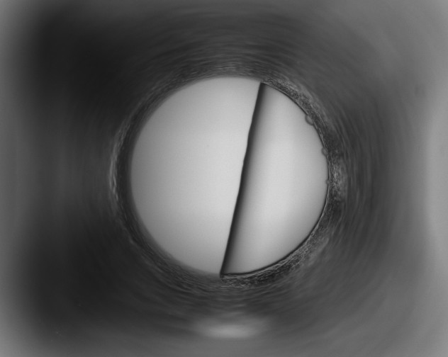 X0000087520735200705181012