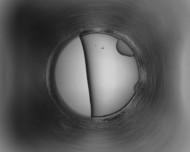 X0000087520736200705181012