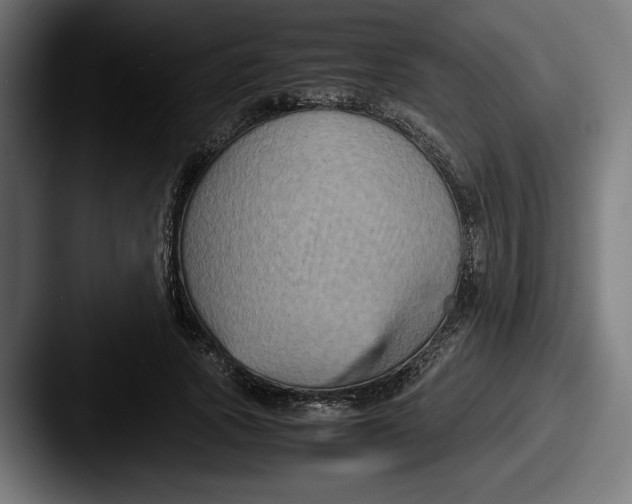 X0000087520737200705181012