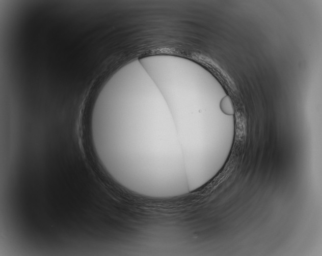 X0000087520738200705181012