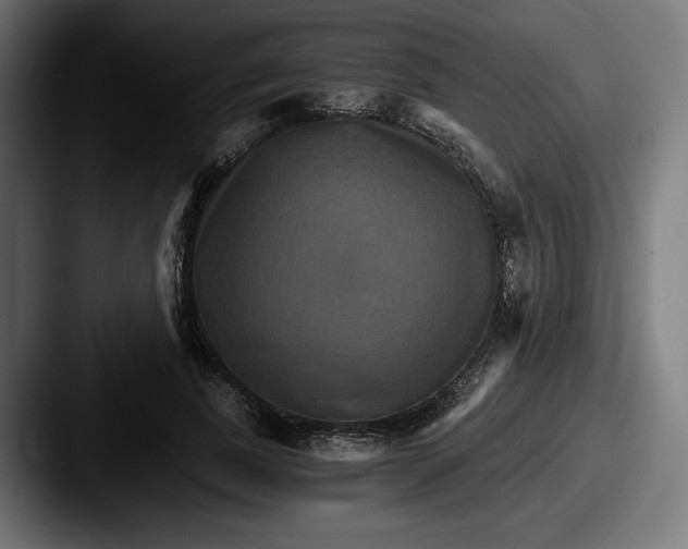 X0000087520739200705181012