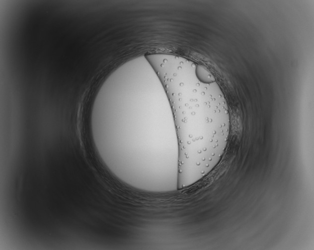 X0000087520742200705181012