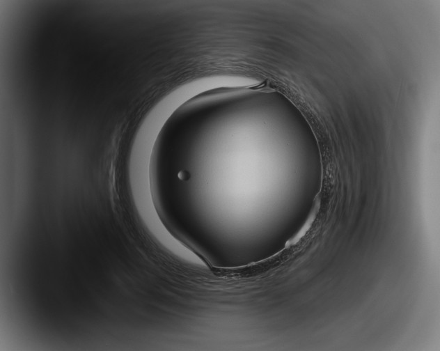 X0000087520744200705181012