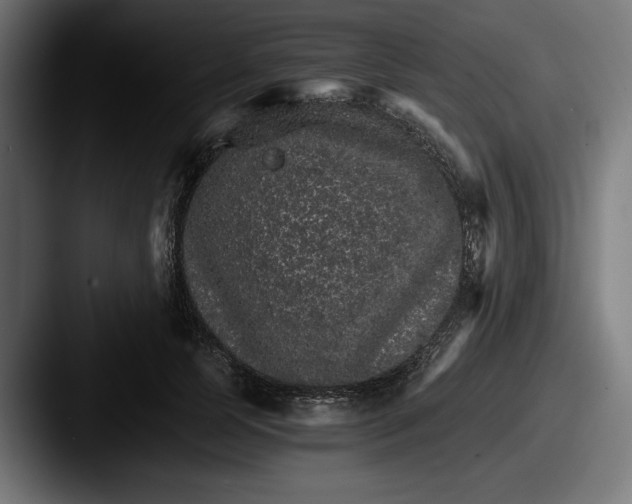 X0000087520745200705181012