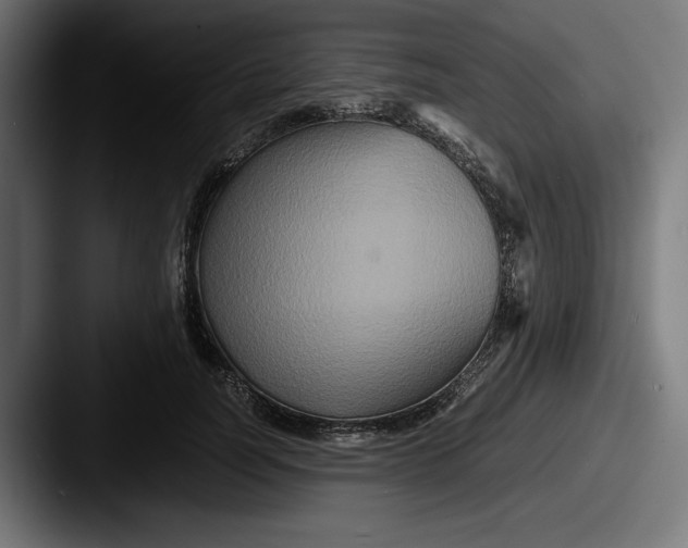 X0000087520746200705181012