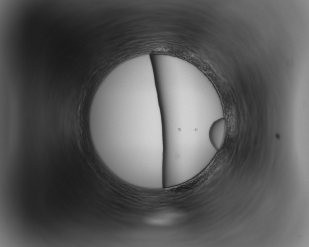 X0000087520747200705181012