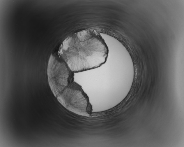 X0000087520749200705181012