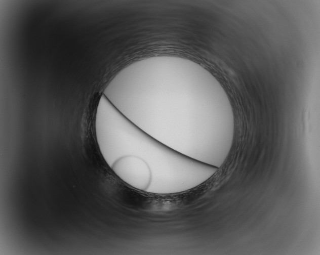 X0000087520751200705181012