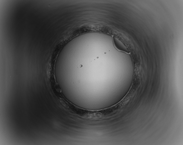 X0000087520752200705181012