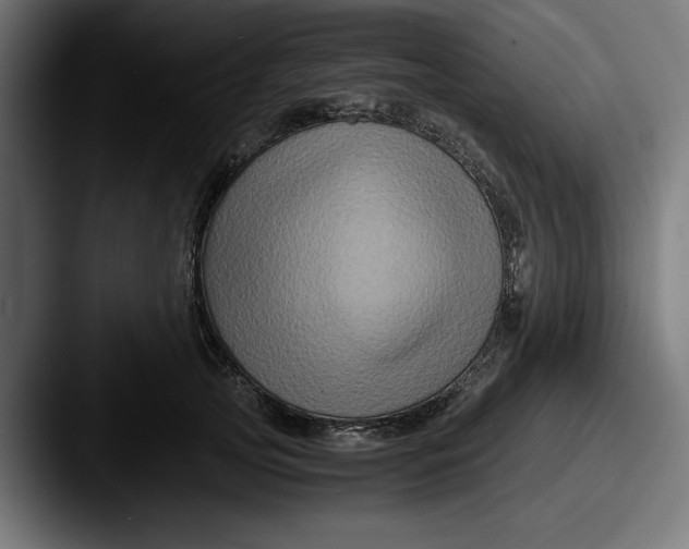 X0000087520753200705181012