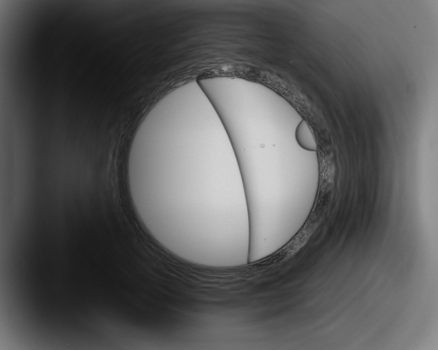 X0000087520754200705181012