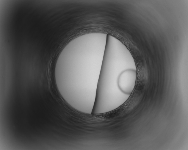 X0000087520755200705181012