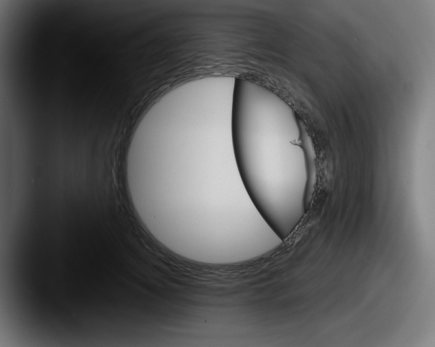 X0000087520756200705181012