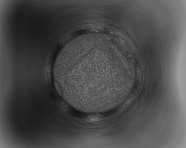 X0000087520757200705181012