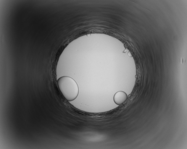 X0000087520759200705181012